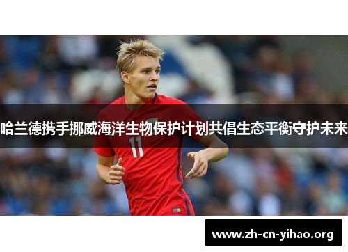 哈兰德携手挪威海洋生物保护计划共倡生态平衡守护未来 哈兰德携手挪威海洋生物保护计划共倡生态平衡守护未来