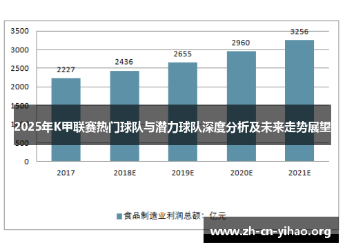 2025年K甲联赛热门球队与潜力球队深度分析及未来走势展望 2025年K甲联赛热门球队与潜力球队深度分析及未来走势展望