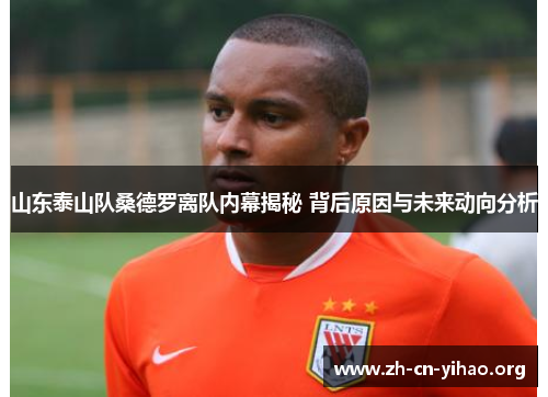 山东泰山队桑德罗离队内幕揭秘 背后原因与未来动向分析 山东泰山队桑德罗离队内幕揭秘 背后原因与未来动向分析