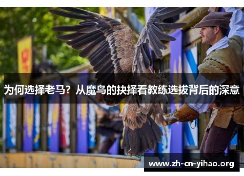 为何选择老马?从魔鸟的抉择看教练选拔背后的深意 为何选择老马?从魔鸟的抉择看教练选拔背后的深意