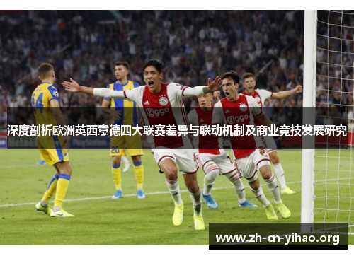 深度剖析欧洲英西意德四大联赛差异与联动机制及商业竞技发展研究